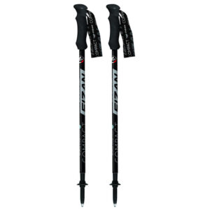 Trekové hole Fizan Compact Barva: black